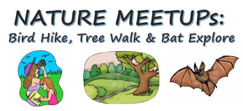 nature meet up image